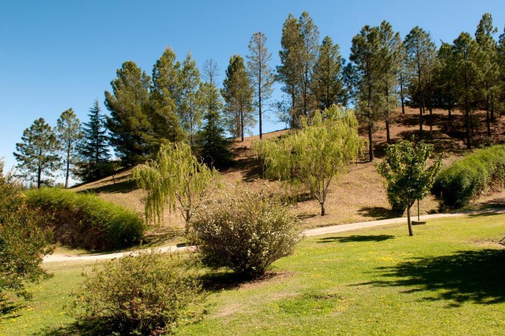 ויז'ה חנראל בלגרנו Green House מראה חיצוני תמונה